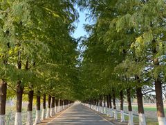 -嘉北郊野公园