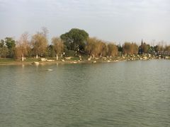-滆湖低碳生态公园