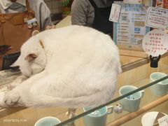 -猫的天空之城概念书店(苏州平江店)