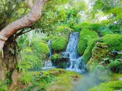 -Chom Cafe and Restaurant