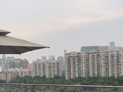 -小茶闲舍·观景商务茶馆(广州塔店)