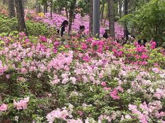 -临平公园(临平街道)