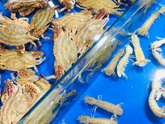 -永红源·啤酒烧烤海鲜大排档(台柳路店)