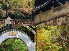 -峙山公园