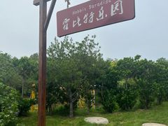 -渔岛海洋度假区