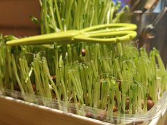 -海底捞火锅(龙湖北京大兴天街店)