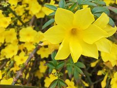 -亚龙湾中心广场