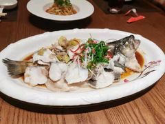 新派蒸珍珠斑-好福记饭店(红梅公园店)