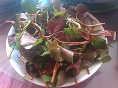 -西木兔(大圆祥店)