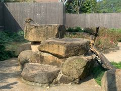 -上方山森林动物世界