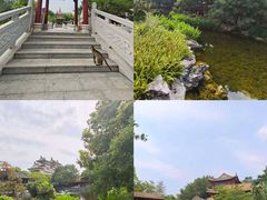-顺峰山公园