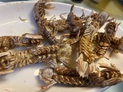 -金海湾海鲜排档(朱家尖店)