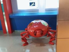 -上海昆虫博物馆