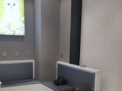 -关爱宠物医院·猫科中心·消化科(滨湖万达分院)