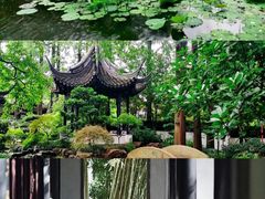 -动邦皮划艇·桨板·独木舟·团建户外运动俱乐部