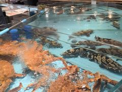 -渔傅·霞浦滩涂海鲜(建平店)