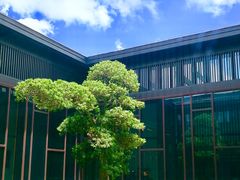 -上海崇明金茂凯悦酒店