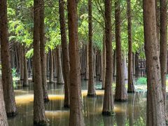 -捞渔河湿地公园