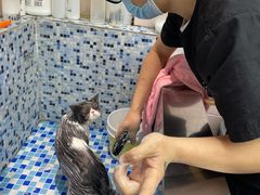 -FAELING PETS美天灵宠物(富力广场店)