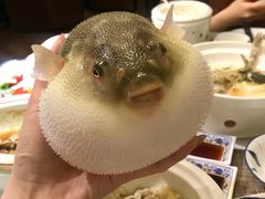 -肆月河豚·新淮扬(金融街店)