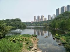 -重庆彩云湖湿地公园