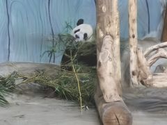 -海南热带野生动植物园