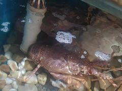 -福娣·金沙银贝海鲜火锅