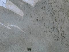 -徂徕山森林康养度假谷温泉