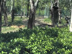 -秦皇岛野生动物园