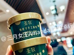 奶皮子酸奶-日月昇渔家菜·海肠捞饭·大连海鲜(星海公园店)