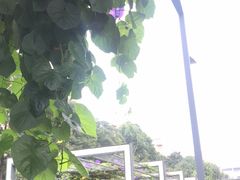 -四川大学(望江校区)