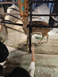 -酷嗒动物文化乐园(cutezoo西溪乐天城店)