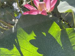 -郭守敬纪念馆