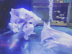 -华声天桥民俗文化园