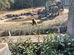 -宁波野生动物园