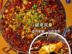 八破来凤鱼-胡马八破·川菜小馆(高新万达店)