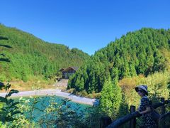 -武陵山森林公园