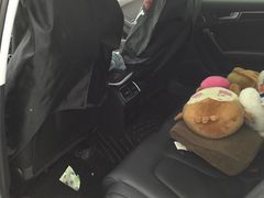 -车艺尚上海龙膜隐形车衣汽车贴膜旗舰店