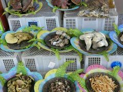 -佳缘野生菌食府