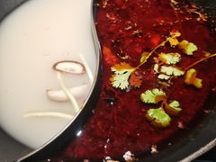 -新辣道鱼火锅(西直门店)