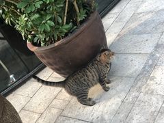 -静安公园(静安寺街道)