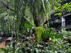 -Fern Forest Cafe