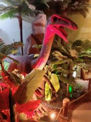 -恐龙探索乐园(磁器口店)