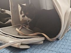 -宠颐生·恒爱宠物医院(静海店)