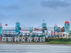 -季高兔窝窝亲子园(上海薰衣草公园店)