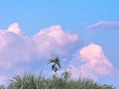 -三亚西岛海洋文化旅游区