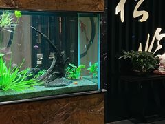 -松临·铁板烧&Omakase(神农店)