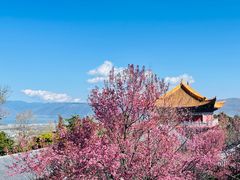 -崇圣寺三塔文化旅游区