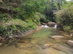 -广州白江湖森林公园