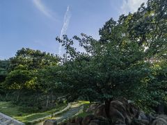 -北京西山国家森林公园